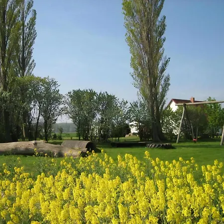 Apartment Gans In Luessvitz