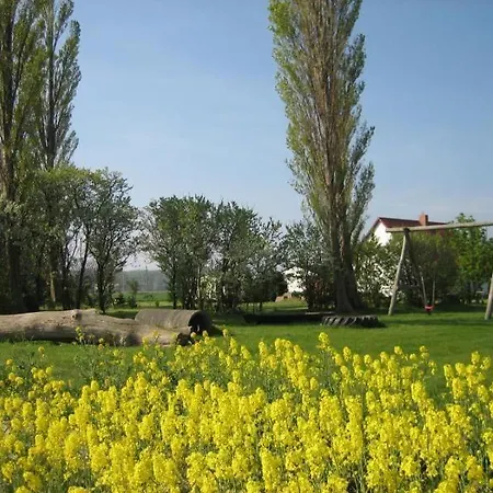 Gans In Luessvitz Ummanz